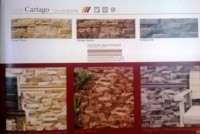 /album/revestimiento/cartago-jpg1/